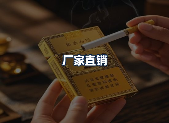 专业团队办公环境